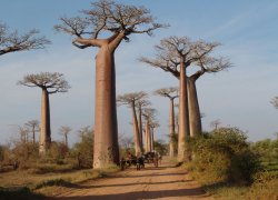 Andasibe, explore eastern Madagascar