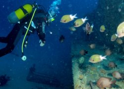 Diving in Mauritius