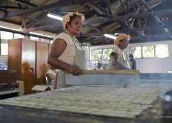 "Biscuiterie Rault" - Cassava Biscuits Production & Tasting