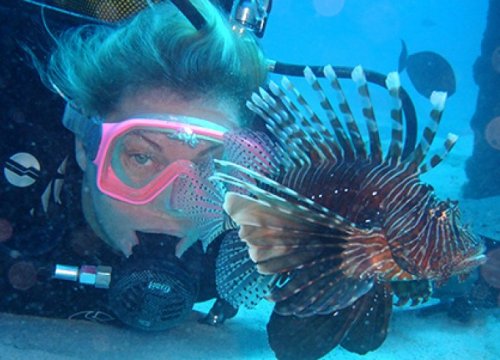 Diving and Under Sea Walk in Mauritius