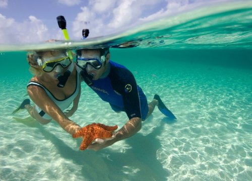 Underwater Activities in Mauritius