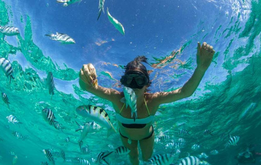 Open new world with Mauritius Snorkeling